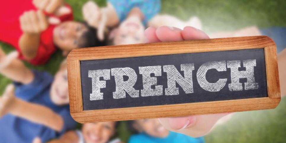 FrenchPrograms Generic Slider