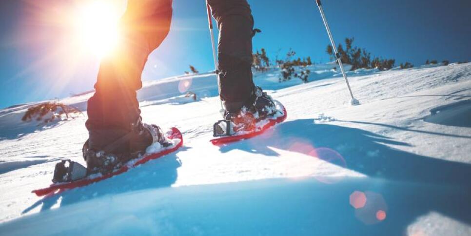 TEL B06 09012019 GoGuideForJan9 large