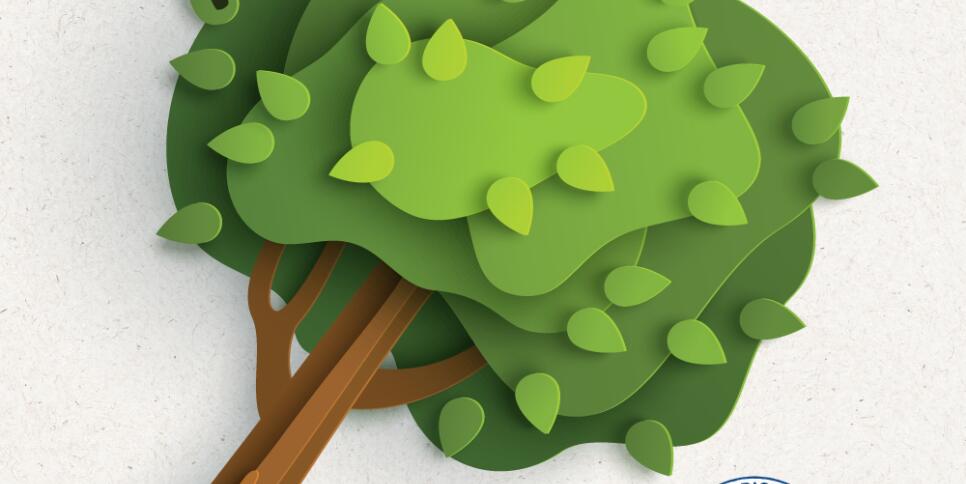 Tree Plant social v2