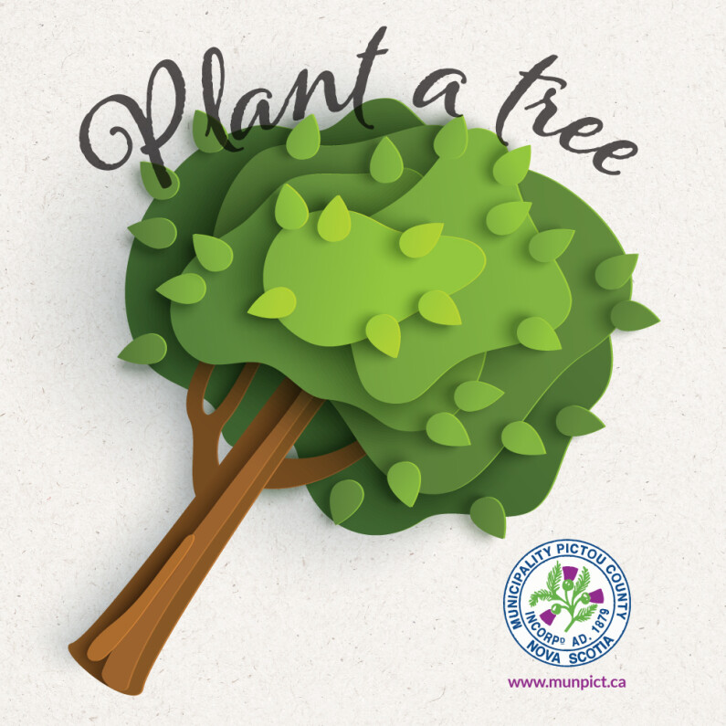 Tree Plant social