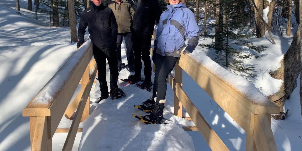bridge on fitzpatrick mountain