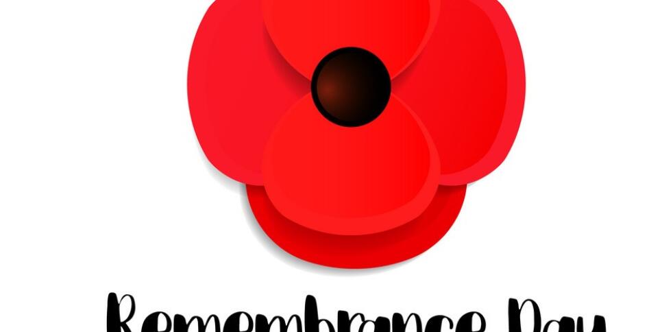 remembrance day card lest we forget paper vector 24566087