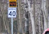 speed signs