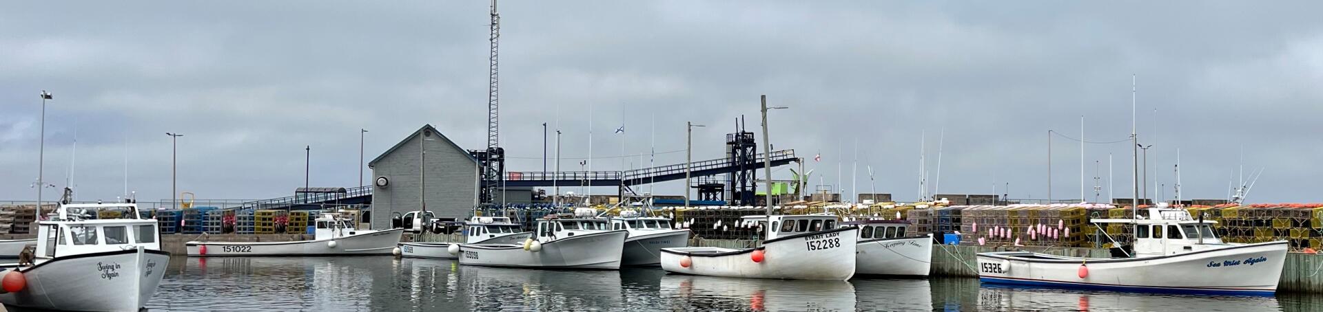 Caribou Wharf 2023 4